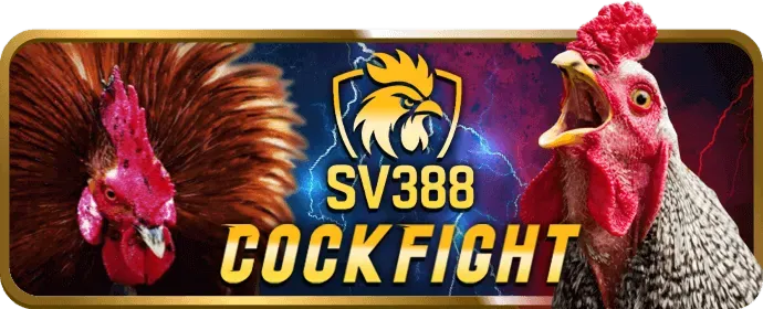 Hỗ trợ trực tuyến 24/7 qua Live Chat